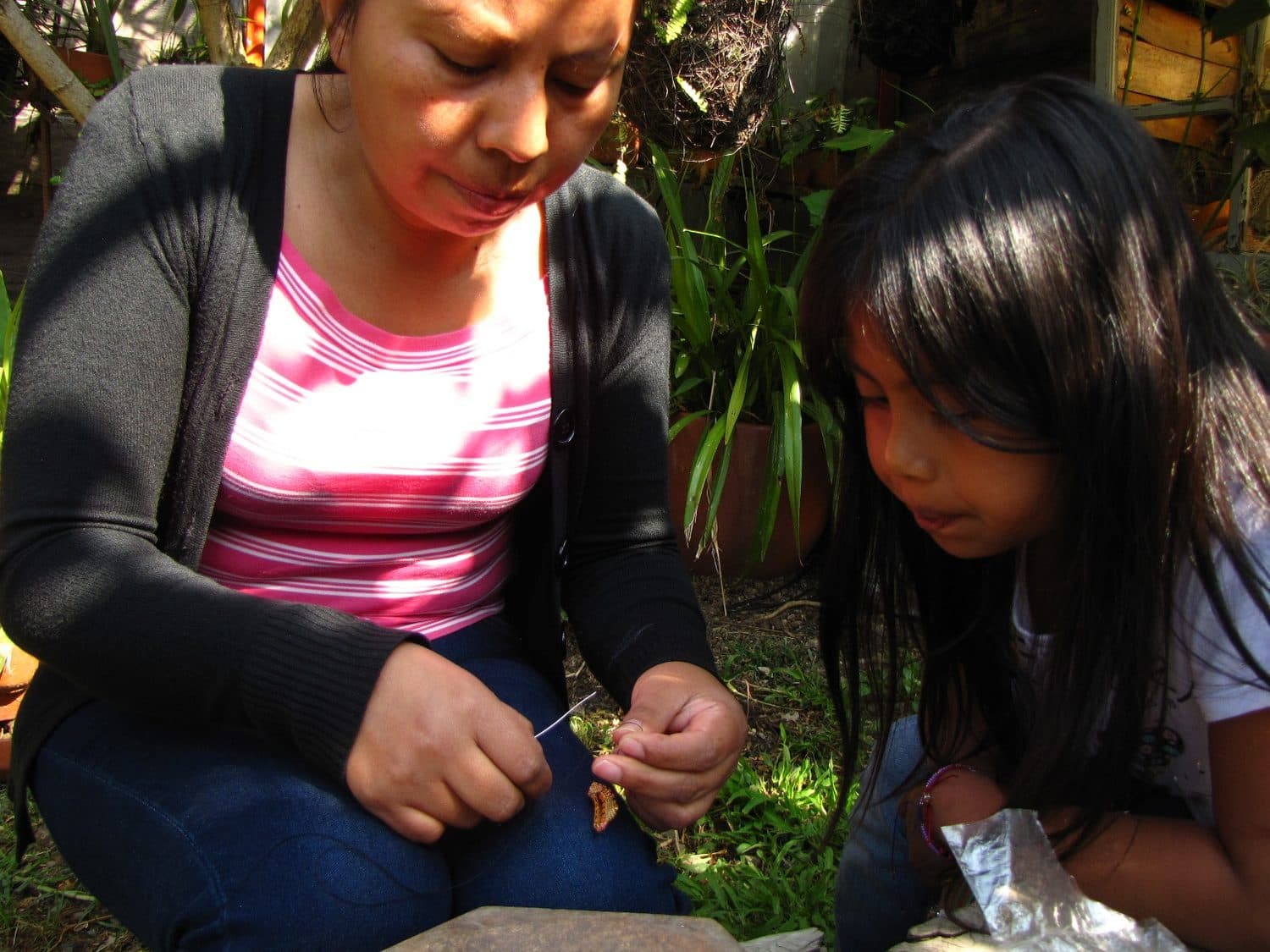 De generación en generación