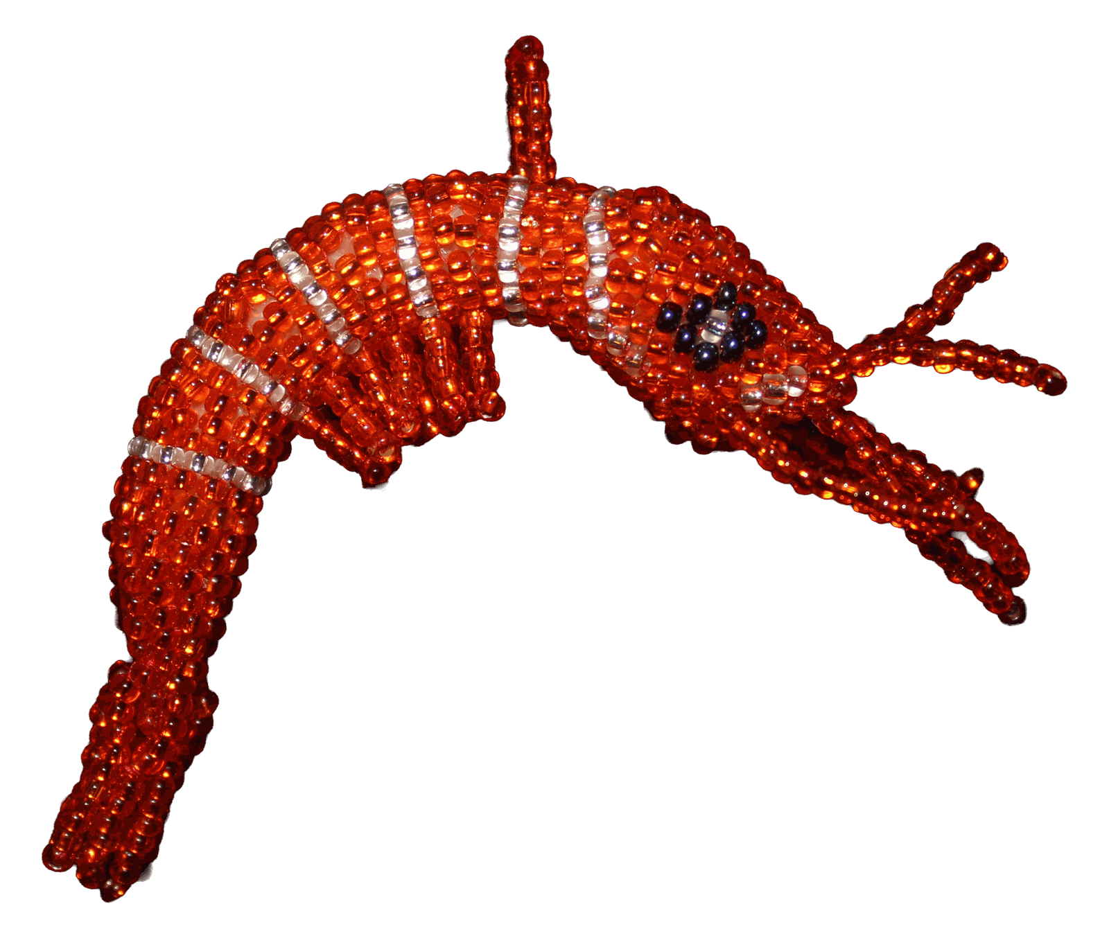 The Shrimp