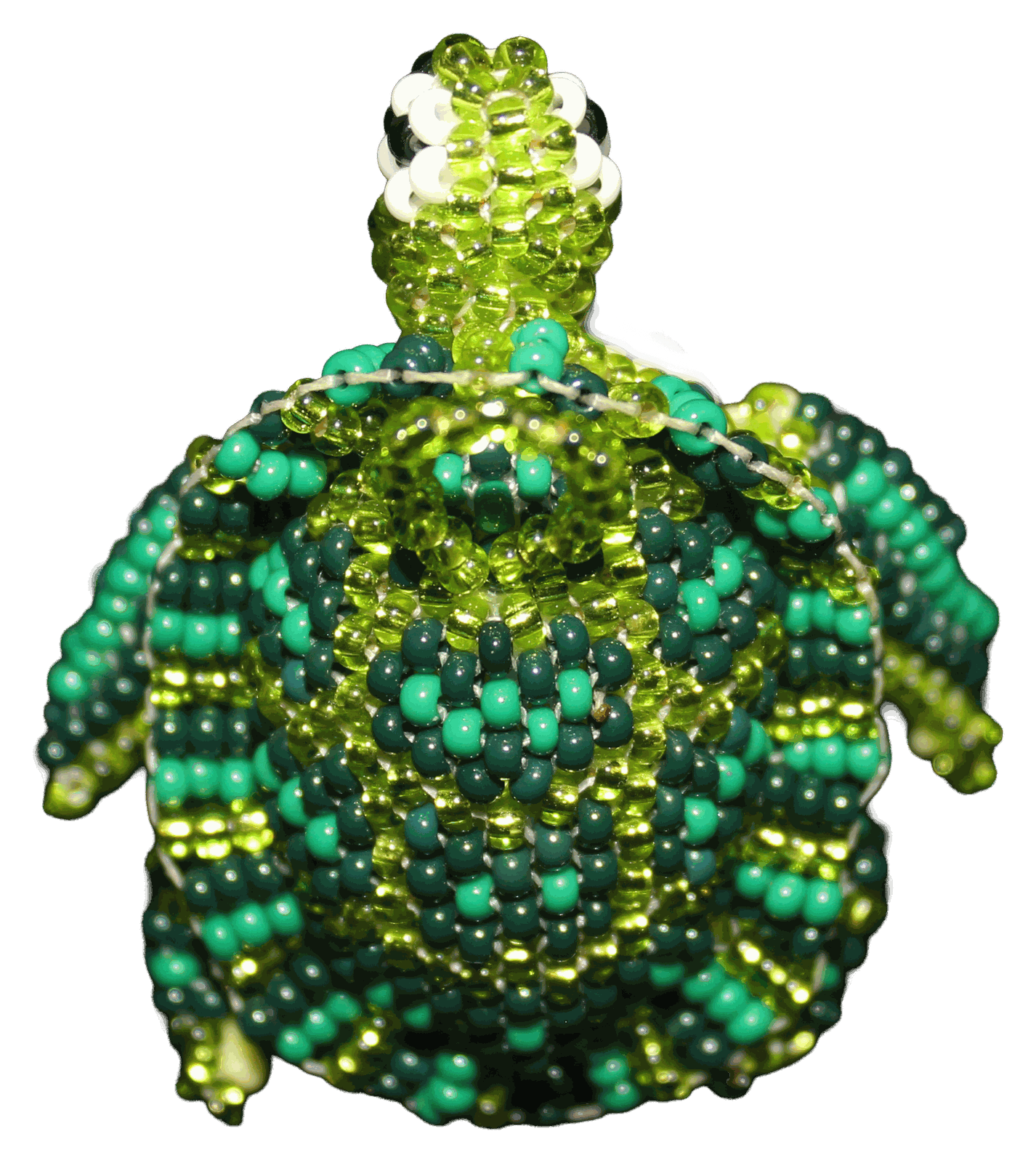 La Tortuga